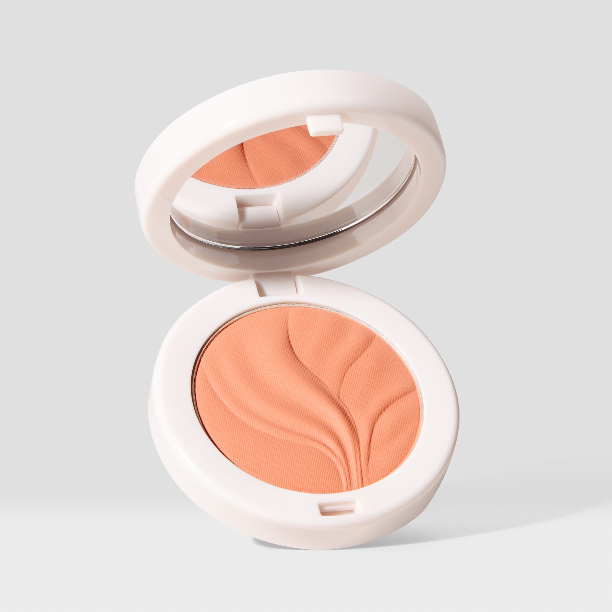 Natural Blur Brightening Powder