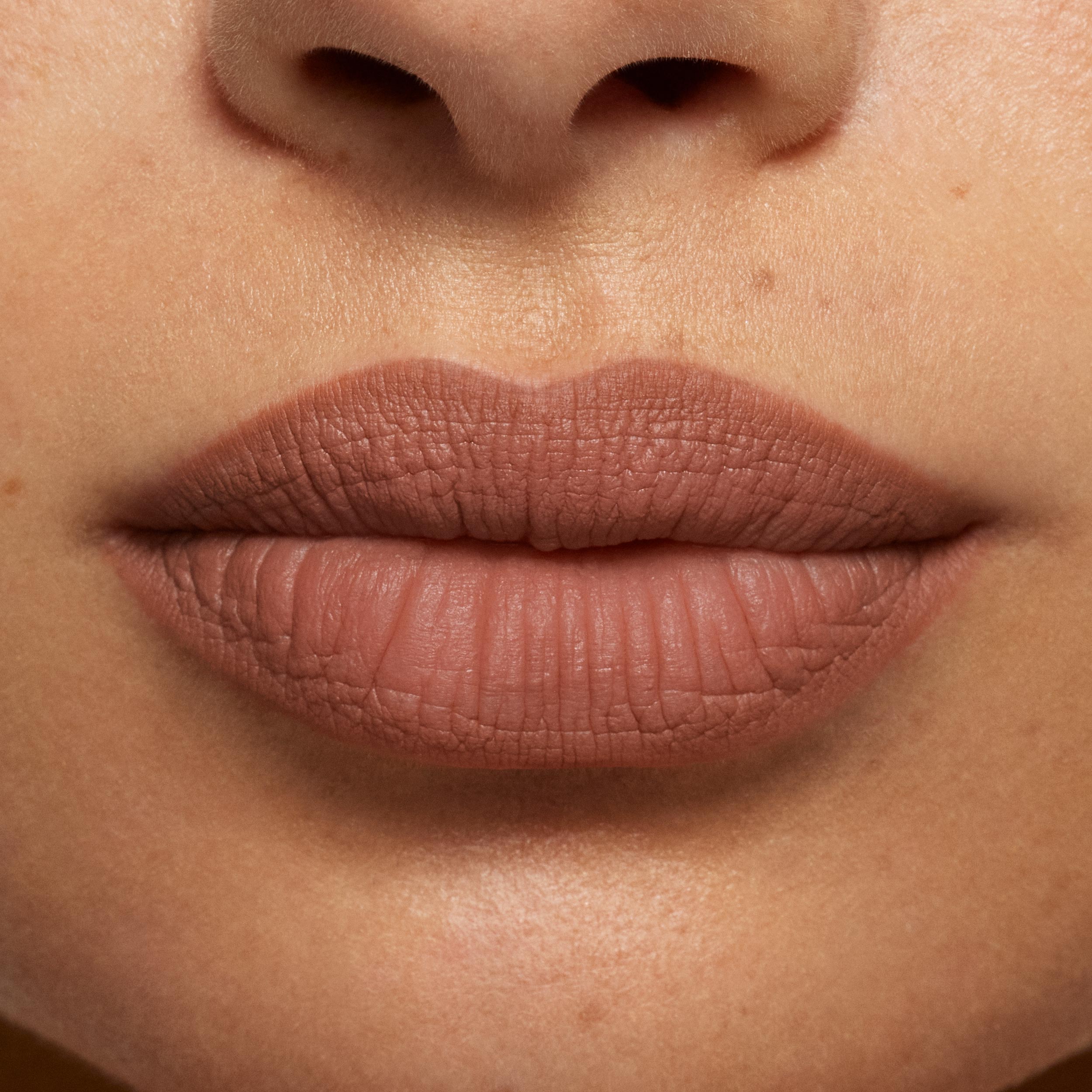 Plumping Matte Lip Kit