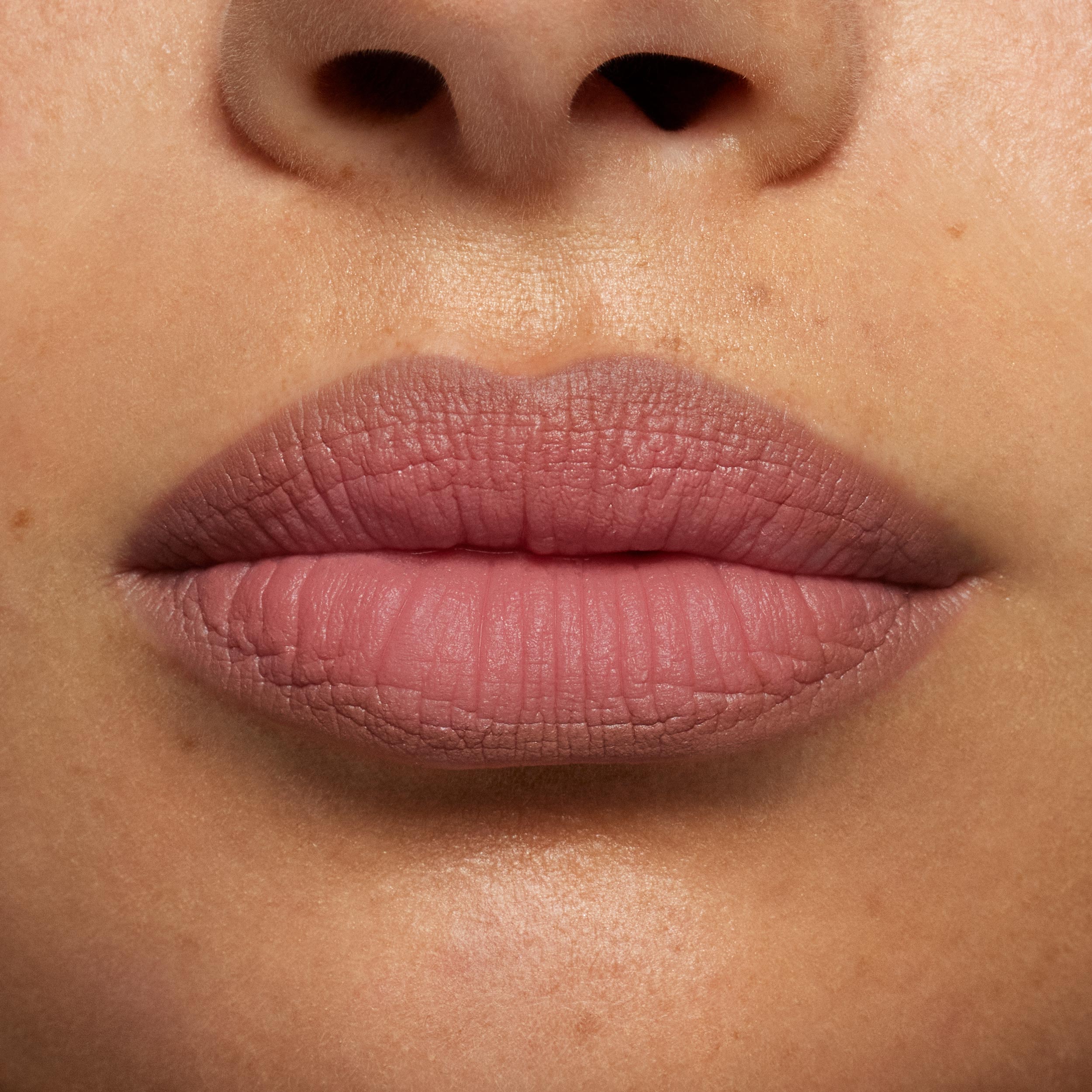 Plumping Matte Lip Kit