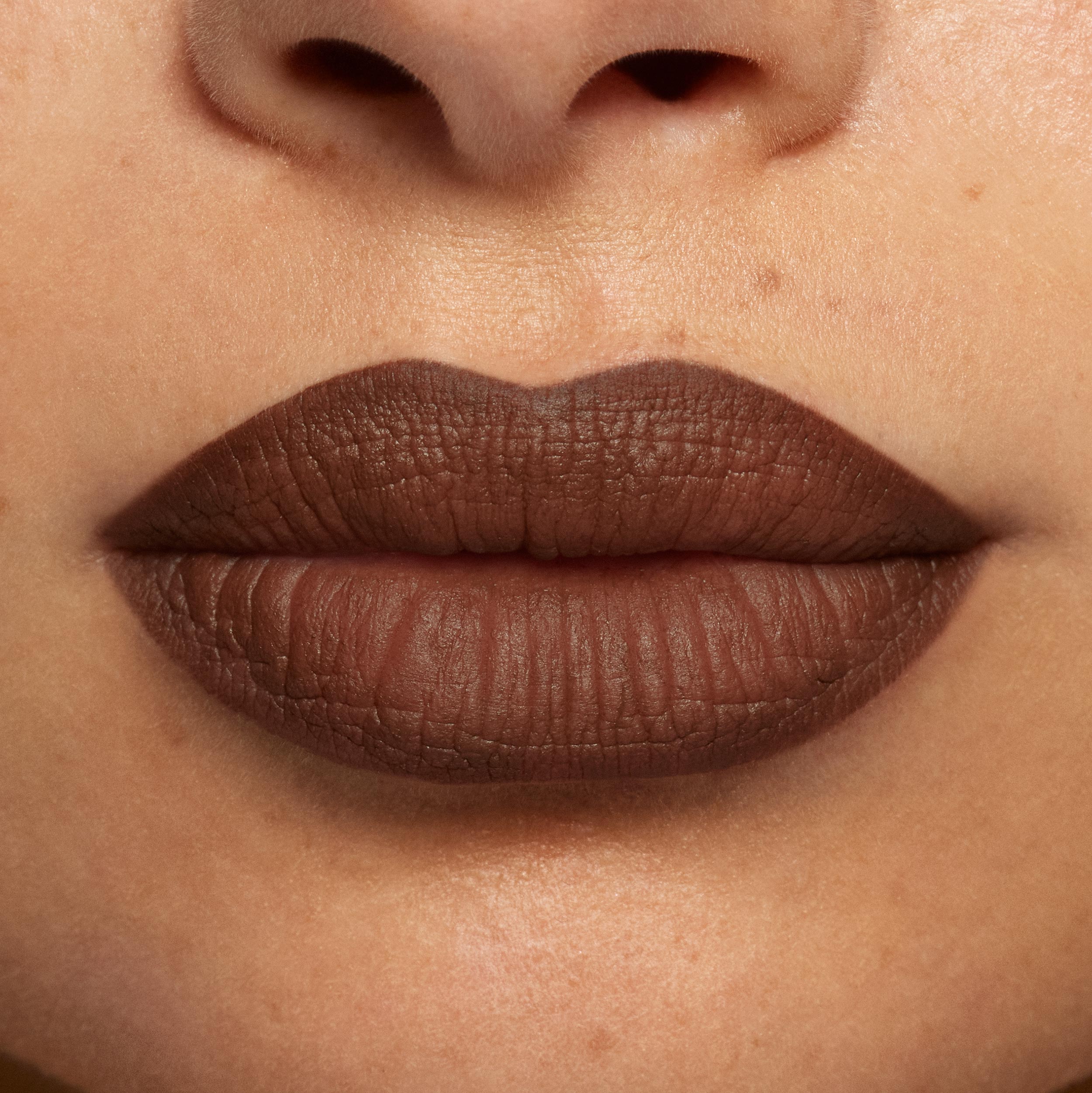 Plumping Matte Lip Kit