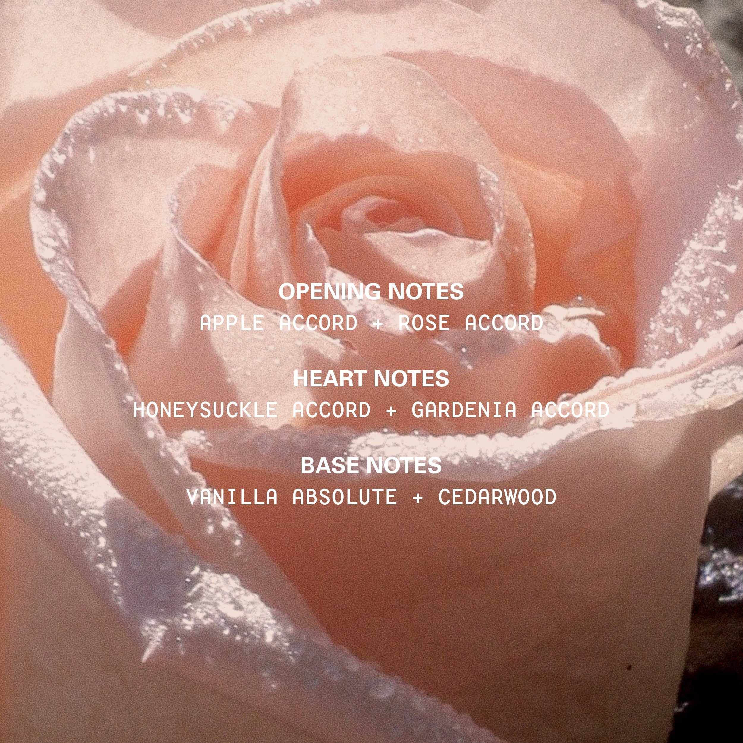 Blush Wood Eau De Parfum