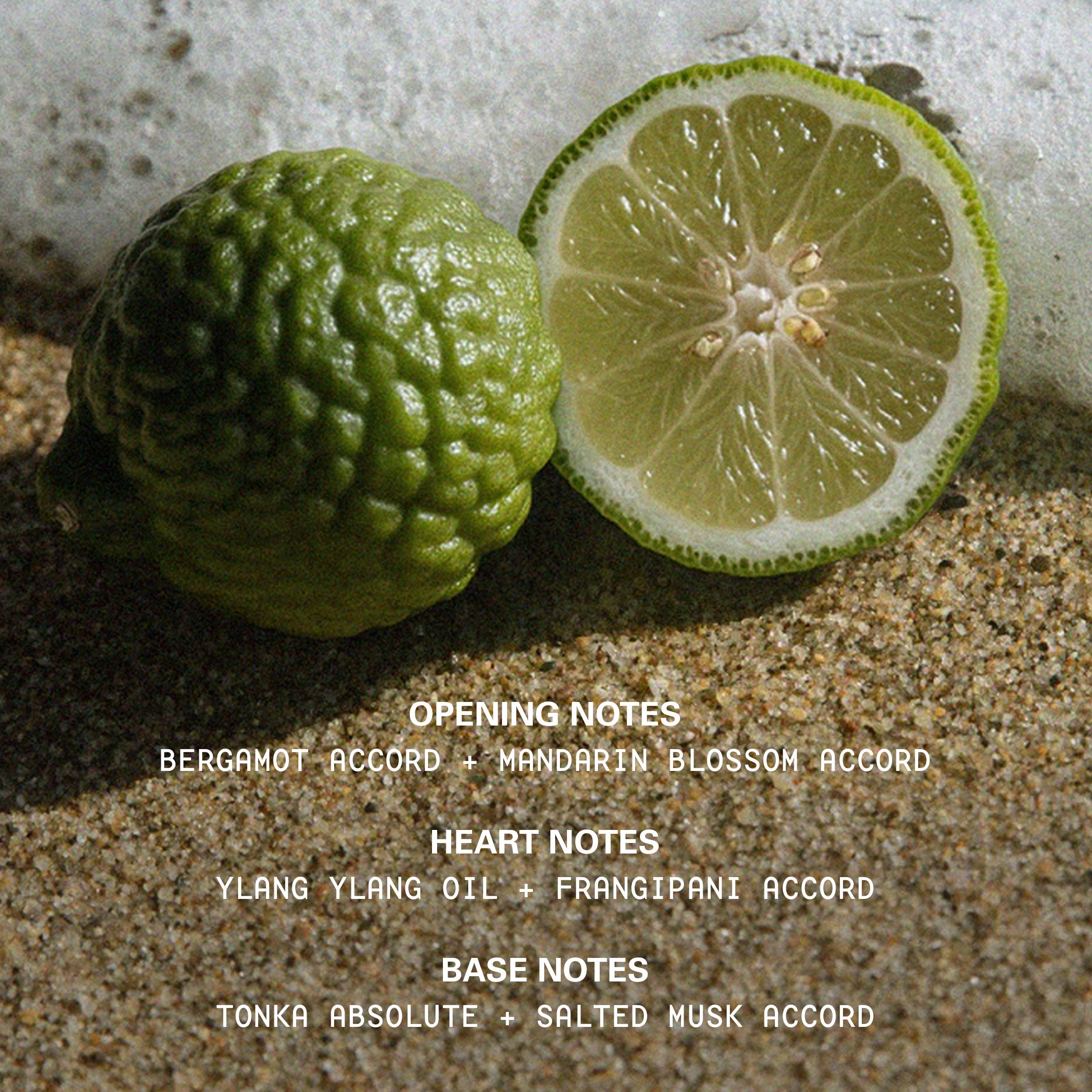 Cashmere Muse Eau De Parfum